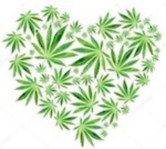 Cannabis Leaves heart